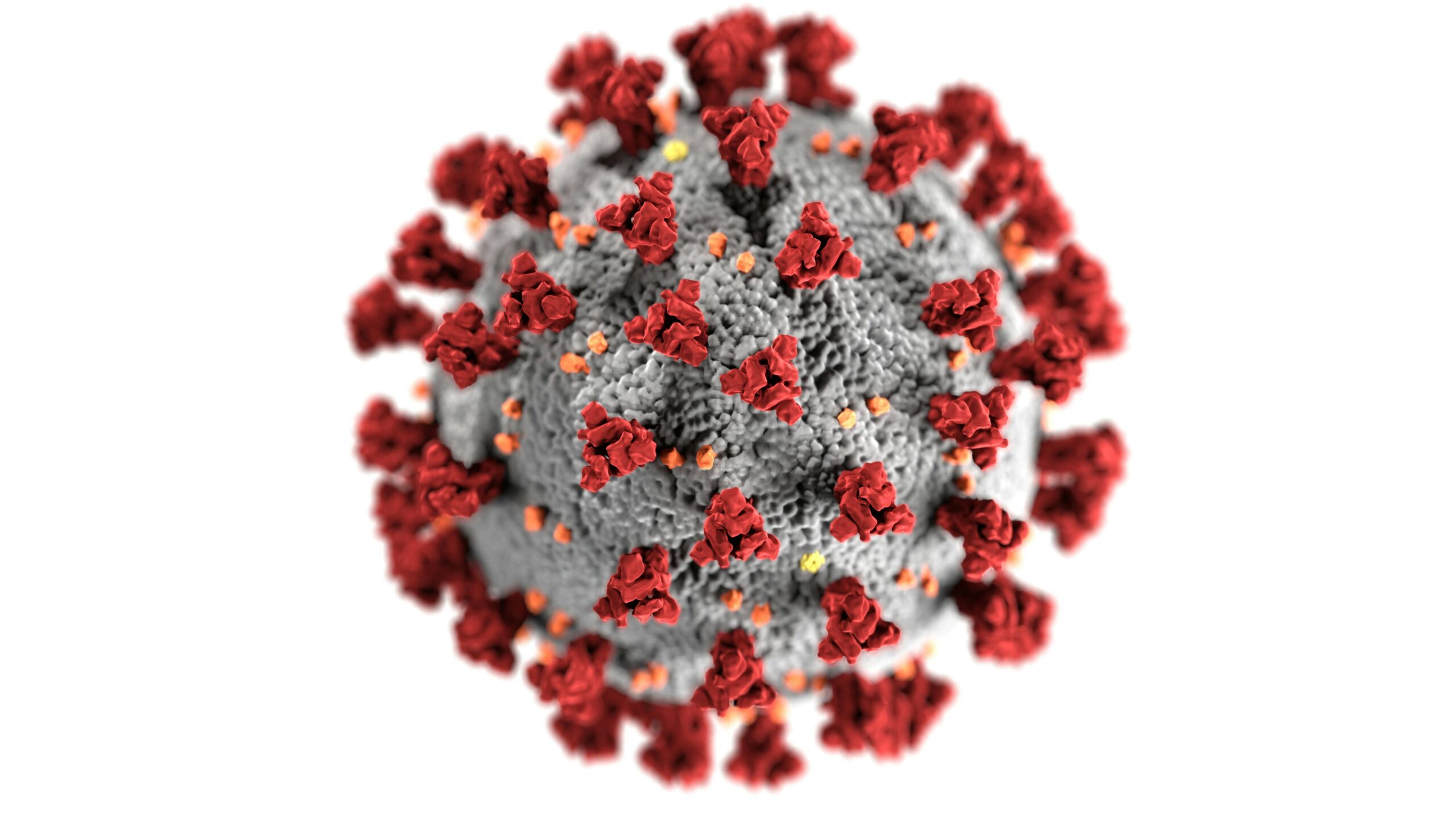 Read more about the article Understanding Human Metapneumovirus (hMPV): A Comprehensive Overview